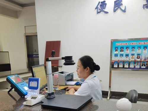 嘉興科技城大橋鎮(zhèn)便民服務(wù)中心公用事業(yè)服務(wù)窗口正式啟用，提供全域通辦與信息技術(shù)咨詢(xún)服務(wù)