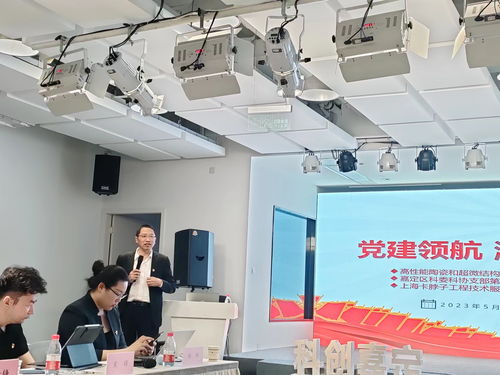 黨建領(lǐng)航 激發(fā)科創(chuàng)新動(dòng)能 多方聯(lián)合主題黨日活動(dòng)聚焦信息技術(shù)咨詢(xún)服務(wù)