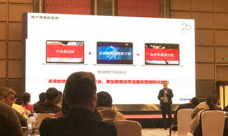 同策房產(chǎn)咨詢(xún)股份的信息技術(shù)咨詢(xún)服務(wù)